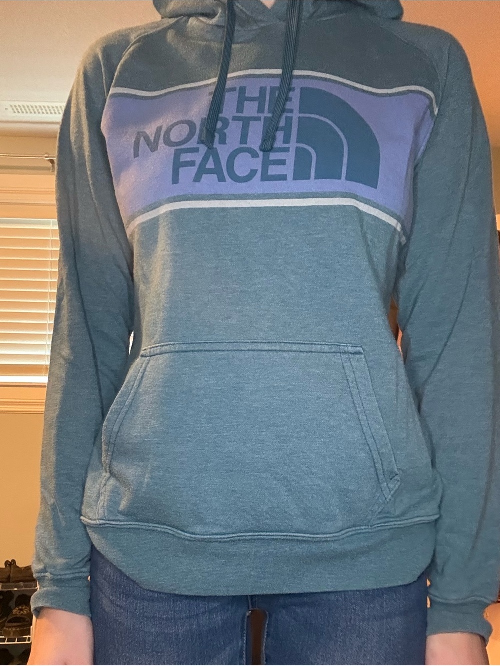 The North Face Teal Pullover Hoodie size small